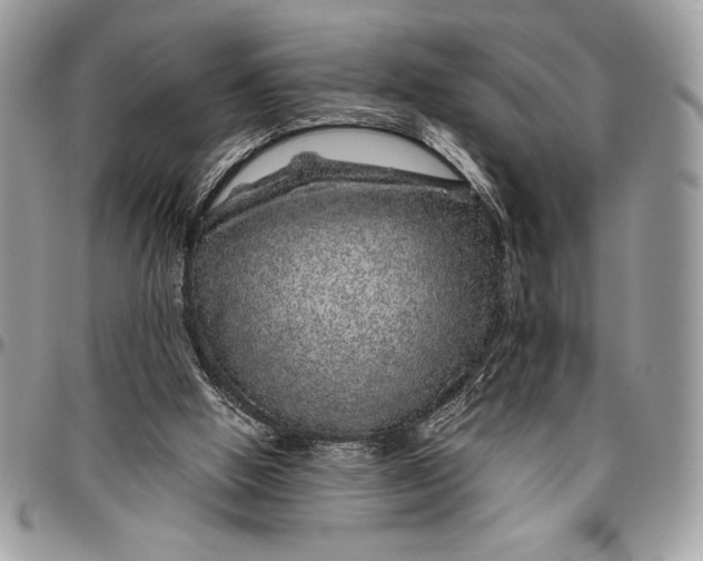 X0000096420058200802141644