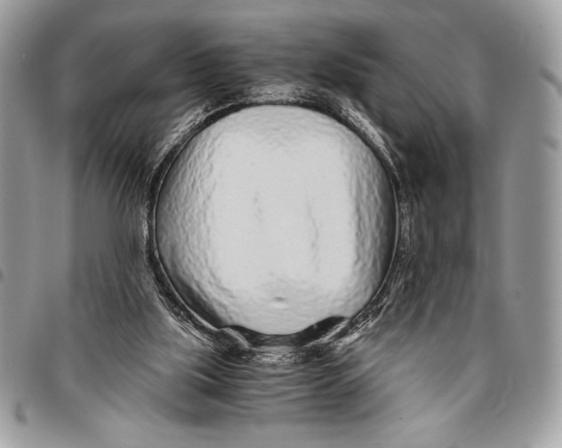 X0000096420059200802141644