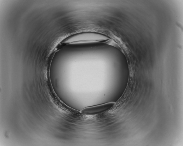 X0000096420060200802141644