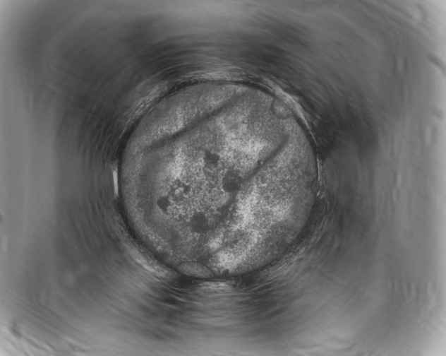 X0000096420061200802141644