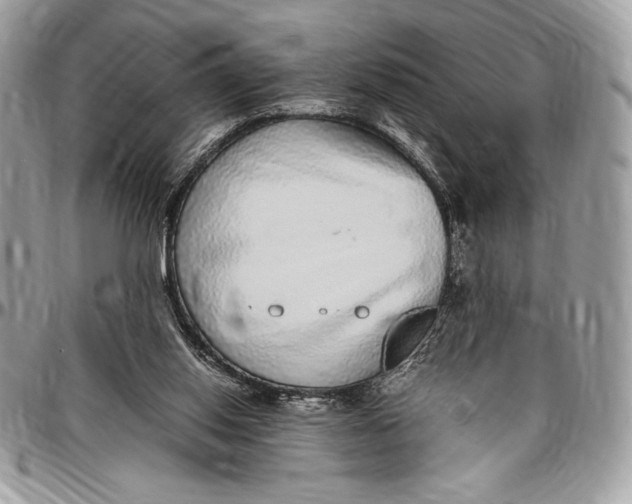 X0000096420062200802141644