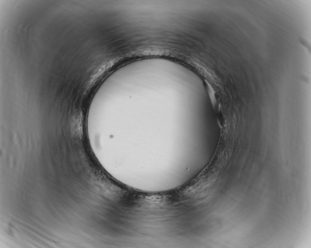 X0000096420064200802141644