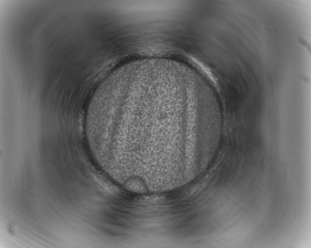 X0000096420065200802141644