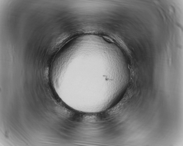 X0000096420066200802141644