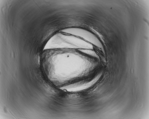 X0000096420067200802141644