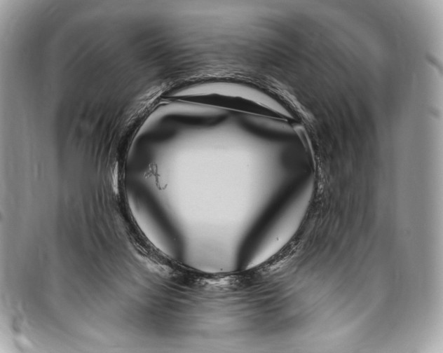 X0000096420068200802141644