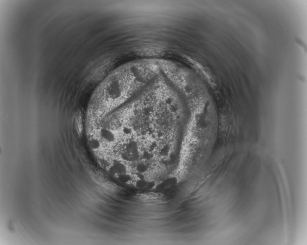 X0000096420069200802141644