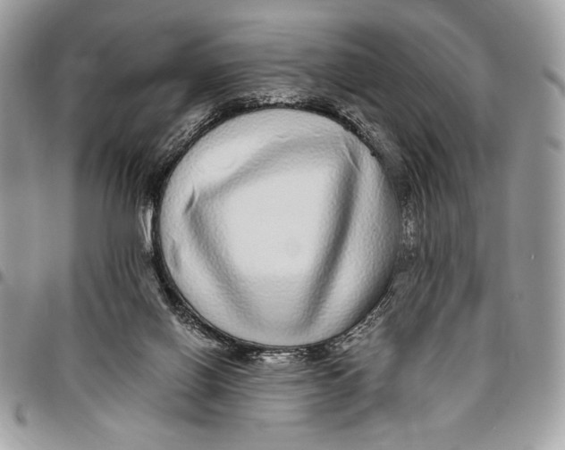 X0000096420070200802141644