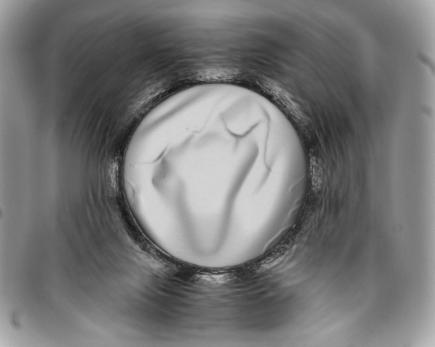 X0000096420071200802141644