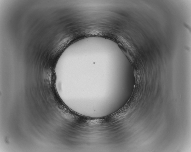 X0000096420072200802141644