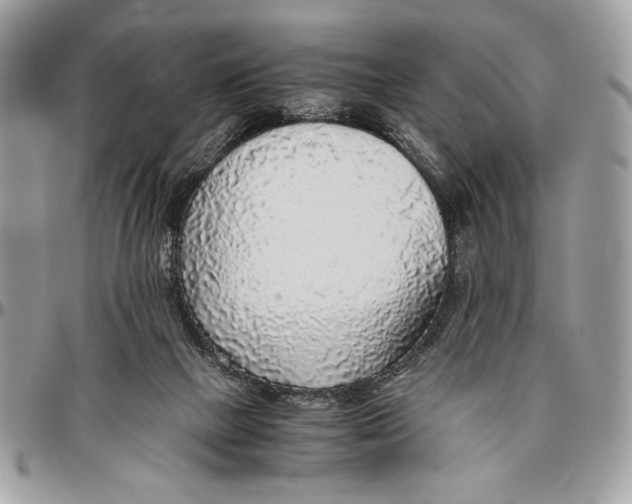 X0000096420073200802141644