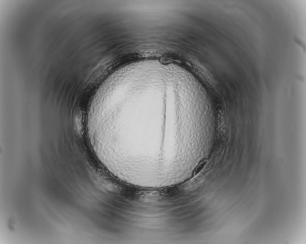 X0000096420074200802141644