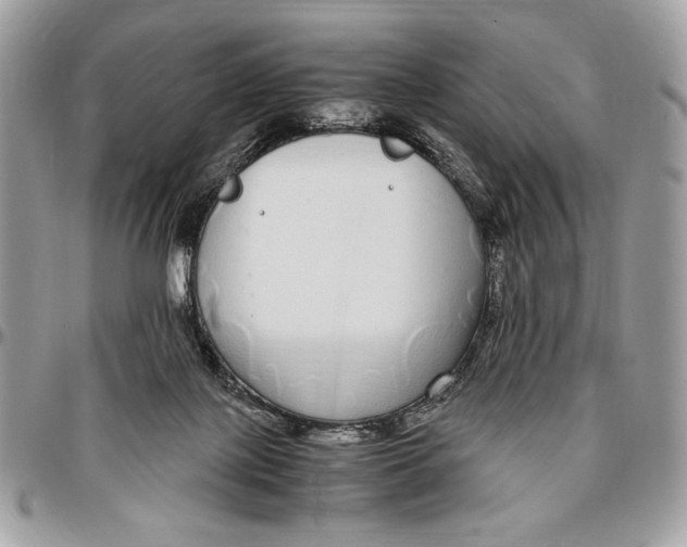 X0000096420075200802141644