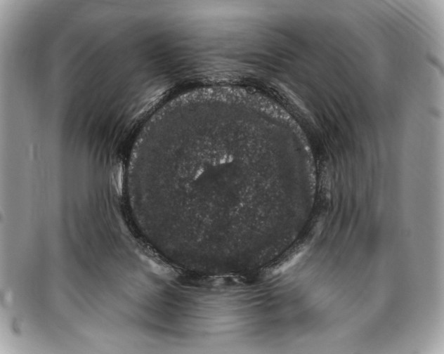 X0000096420076200802141644