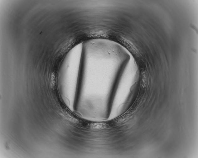 X0000096420077200802141644