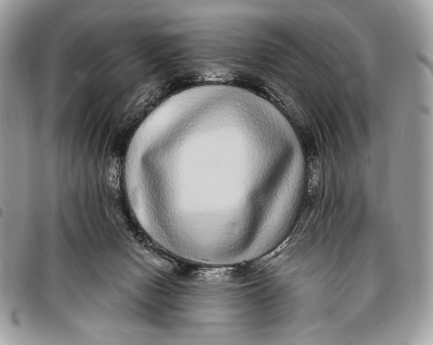 X0000096420078200802141644