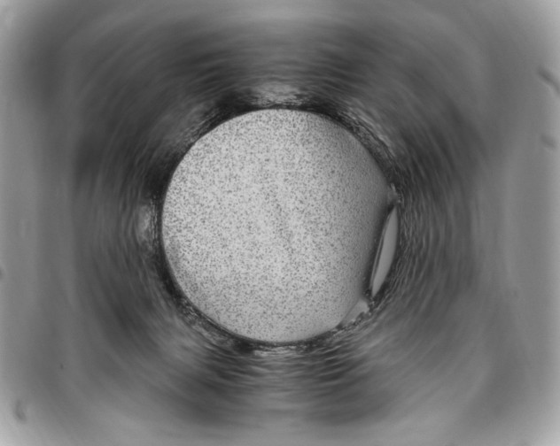 X0000096420079200802141644