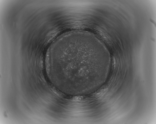 X0000096420080200802141644