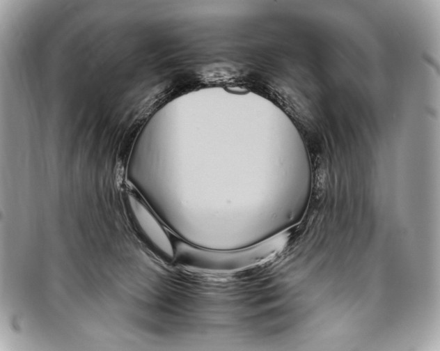 X0000096420081200802141644