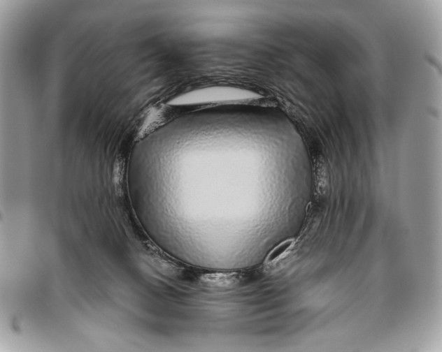 X0000096420082200802141644