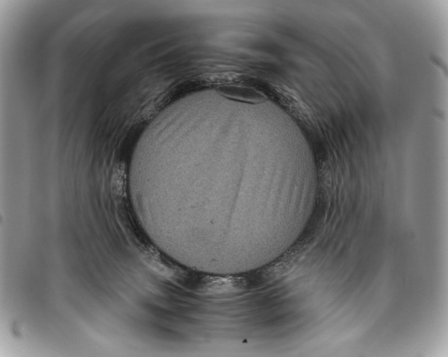 X0000096420083200802141644