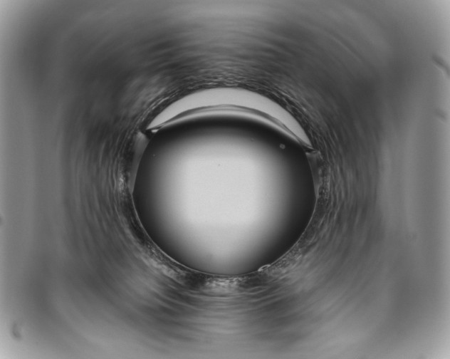 X0000096420084200802141644