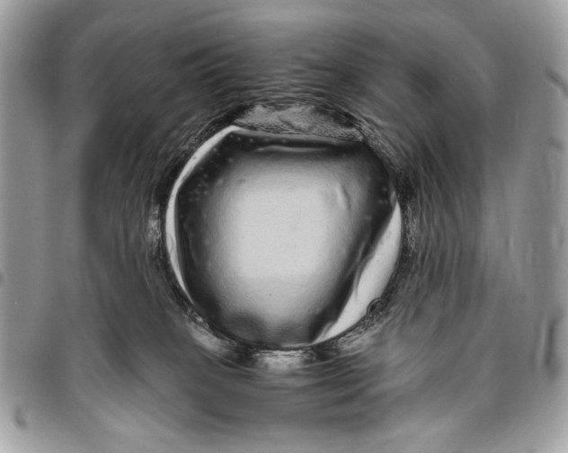 X0000096420085200802141644