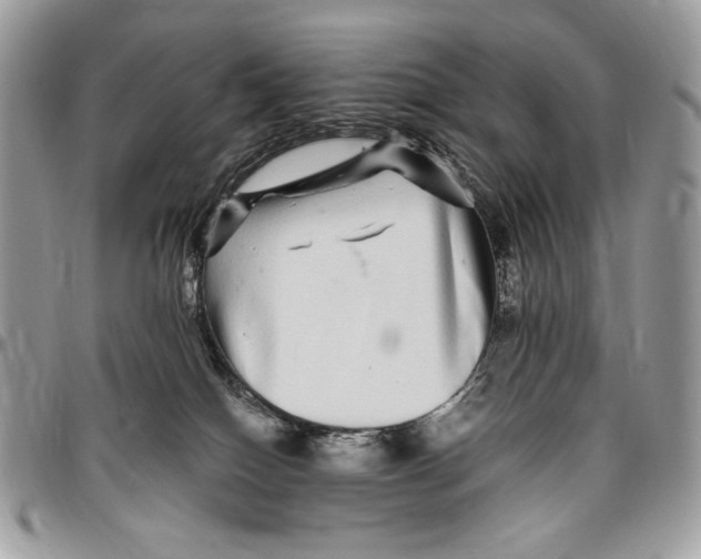 X0000096420086200802141644