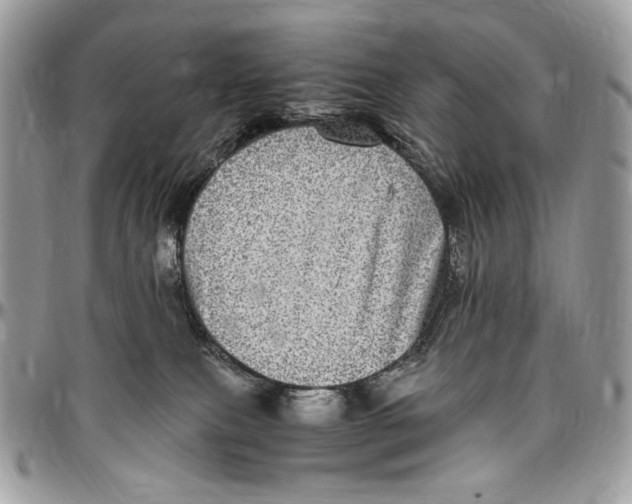 X0000096420087200802141644