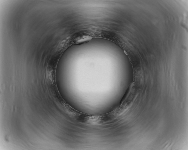 X0000096420088200802141644