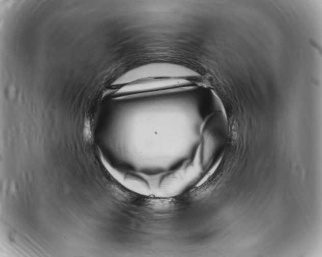 X0000096420089200802141644