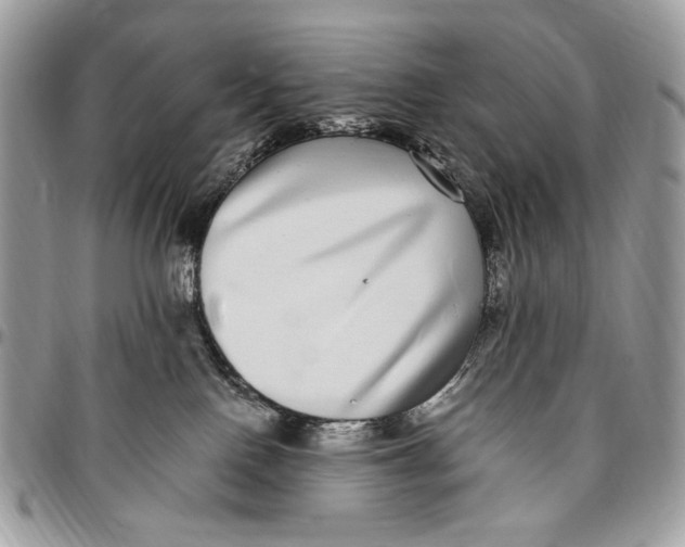 X0000096420090200802141644