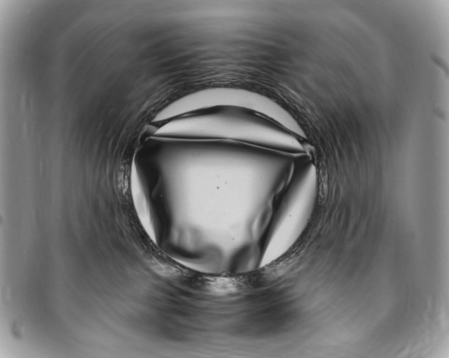 X0000096420091200802141644