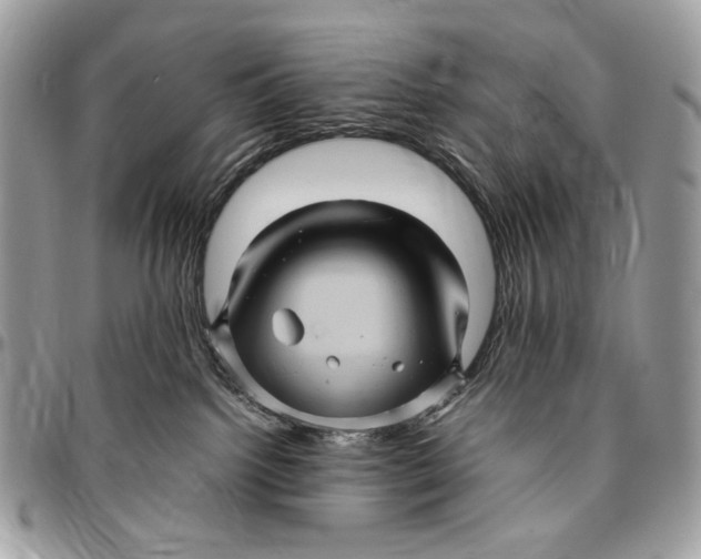 X0000096420092200802141644