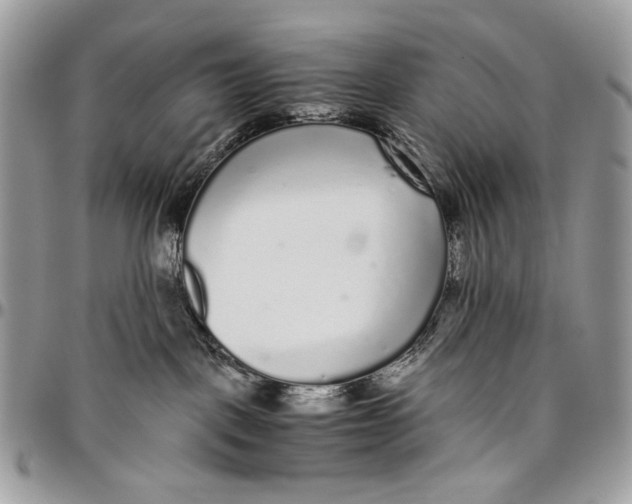 X0000096420093200802141644