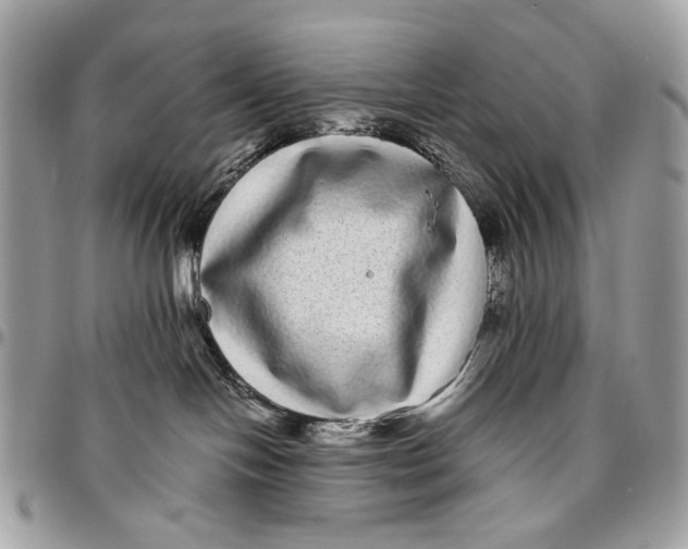 X0000096420094200802141644