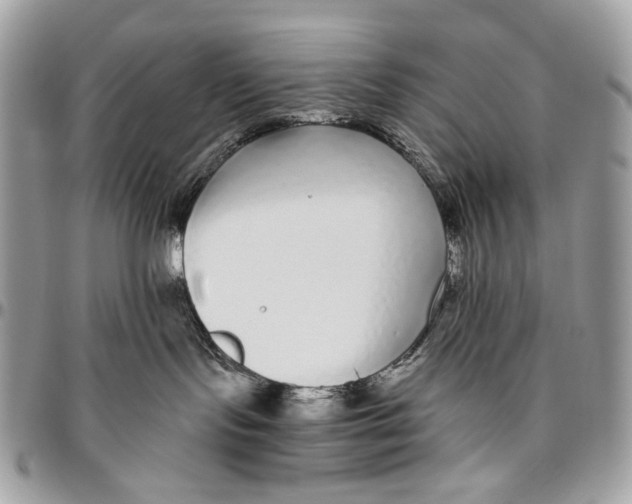 X0000096420095200802141644