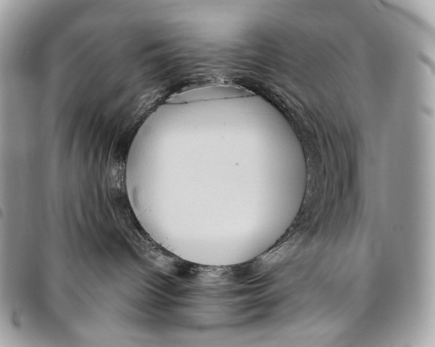 X0000096420096200802141644