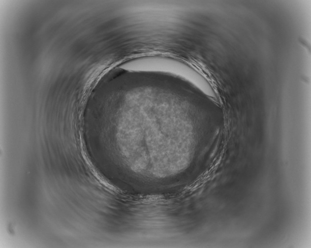 X0000096420097200802141644