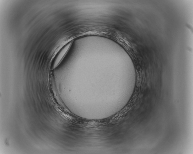 X0000096420098200802141644