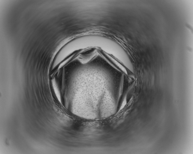 X0000096420100200802141644