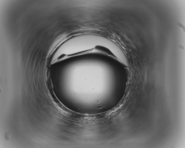 X0000096420101200802141644