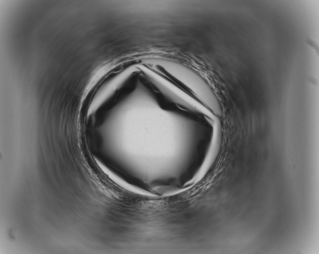 X0000096420102200802141644