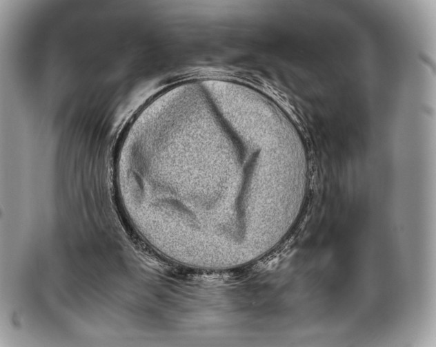 X0000096420103200802141644