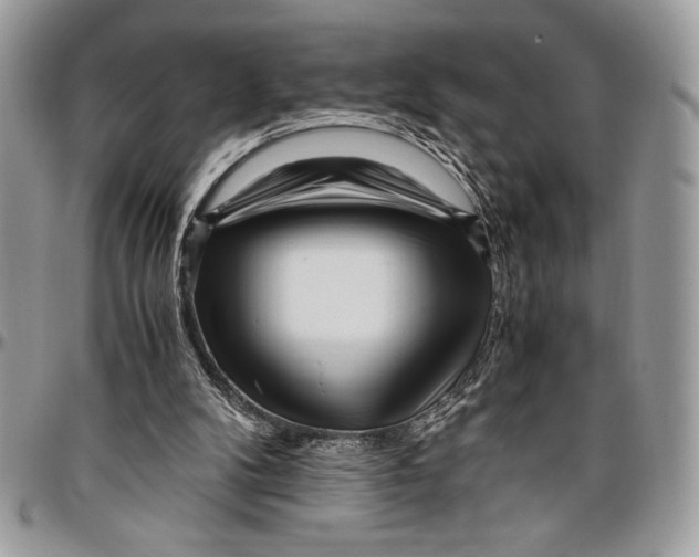 X0000096420104200802141644