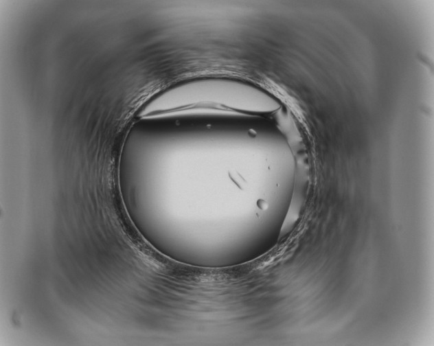 X0000096420105200802141644