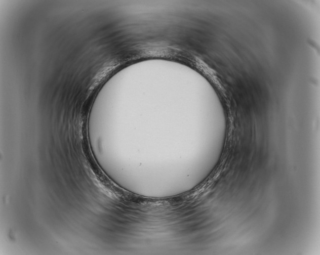 X0000096420106200802141644