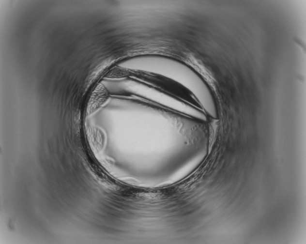 X0000096420107200802141644