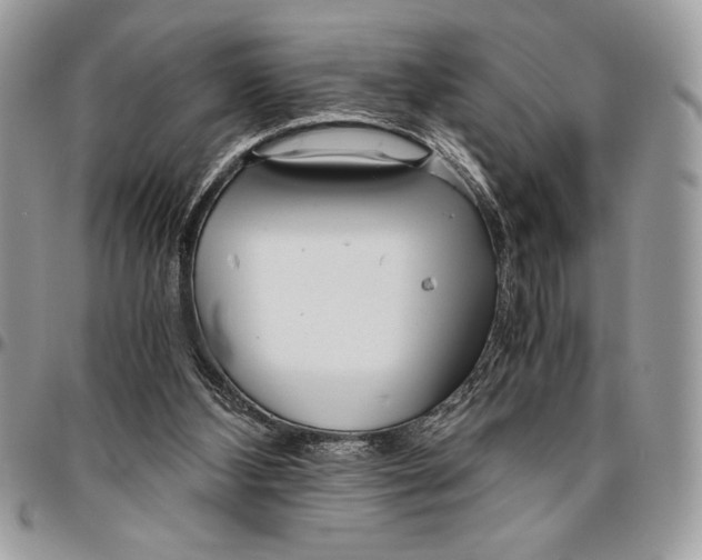 X0000096420108200802141644