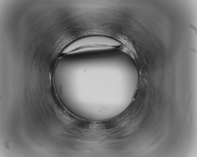 X0000096420109200802141644